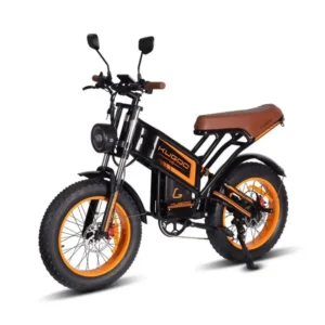 Kugoo V5 Electric Bike - 1