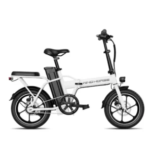 wind horse w2a - front image